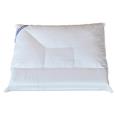 ergoplus hoofdkussen bedtime