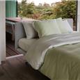nillspring-boxspring-fondo-3
